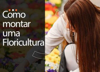 Como montar uma floricultura?